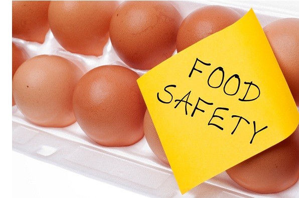 Eggs Can Carry Salmonella Food Safety Concept Concept with Brown Egg and Yellow Note.