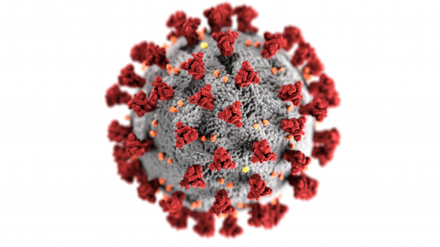 Detailed view of a coronavirus